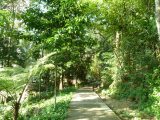 Penang Attraction Tips – Taman Metropolitan Awan Relau Park
